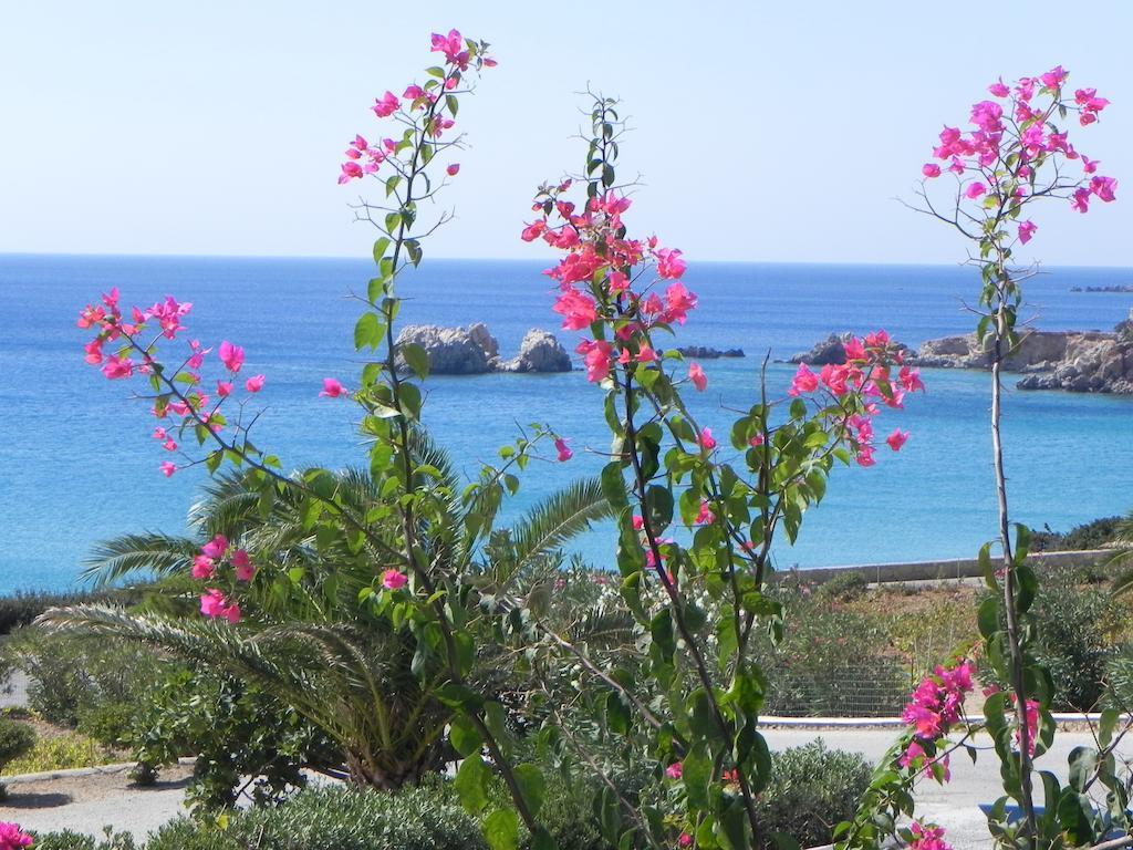 Ardani Bay